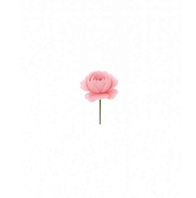 peony parade