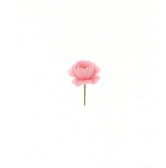peony parade