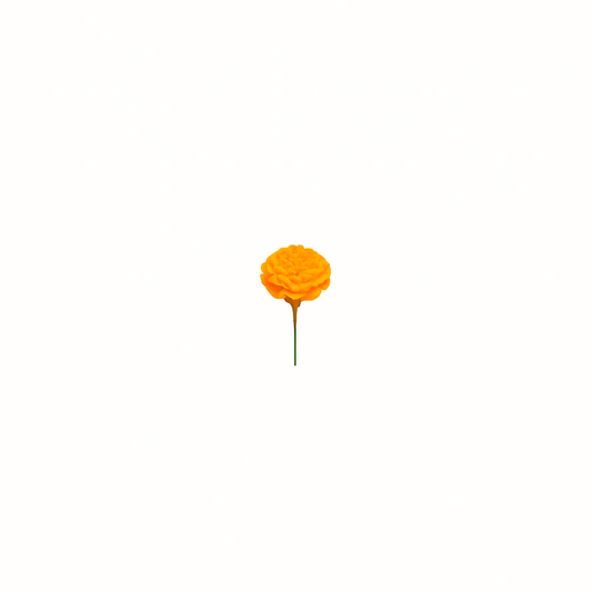 q’ij flo